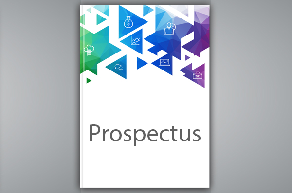 What is a simplified prospectus?