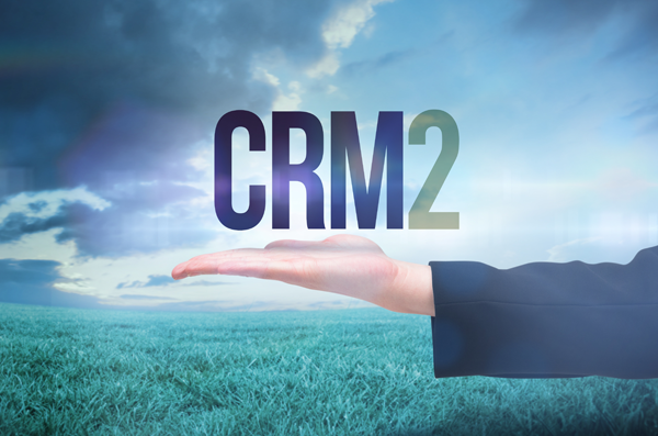 A Brief Overview of the Client Relationship Model (CRM)