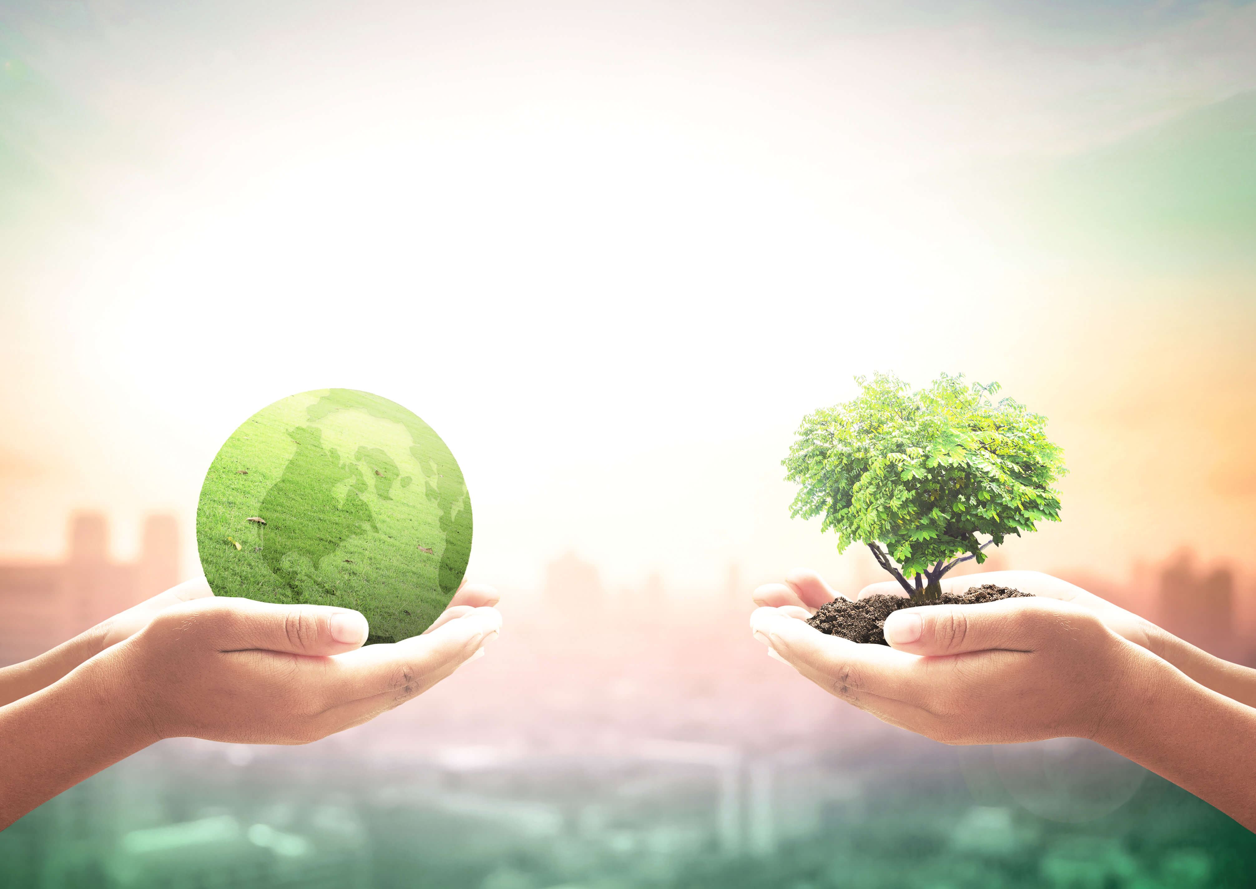 Socially responsible investing: Investing for the future